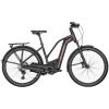 Bergamont E-Horizon Premium Expert Damen Pedelec E-Bike Trekking Fahrrad Rot 2022 Kunden Zuerst Günstige 5
